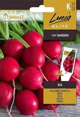 РЕДЬКА СЪЕДОБНАЯ RIA „LUCIA ELITE” 5 Г цена и информация | Семена овощей, ягод | 220.lv