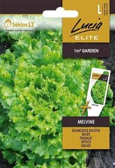 САЛАТ ПОСЕВНОЙ MELVINE „LUCIA ELITE” 20 S цена и информация | Семена овощей, ягод | 220.lv