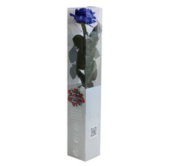 Stabilizēta roze Amorosa Premium zila cena un informācija | Stabilizētās rozes, augi | 220.lv