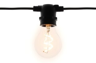 Цепочка из 10LED ламп Clear 4,5м 3W цена и информация | Уличное освещение | 220.lv