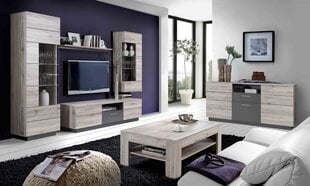 TV galdiņš Forte Jesolo JSLT131-J72, pelēkas krāsas cena un informācija | TV galdiņi | 220.lv