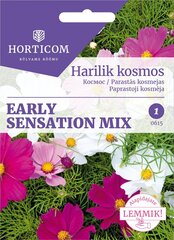 Космея дваждыперистая Early Sensation смесь 1 г цена и информация | Семена цветов | 220.lv