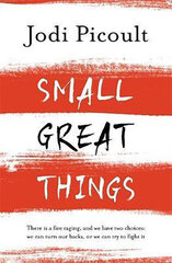 Small Great Things: The bestselling novel you won't want to miss цена и информация | Романы | 220.lv