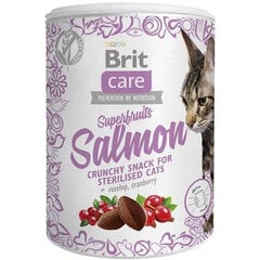 Brit Care лакомство Superfruits с лососем, 100 г цена и информация | Лакомства для кошек | 220.lv