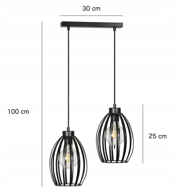 Emibig lampa Boris 2 cena un informācija | Piekaramās lampas | 220.lv