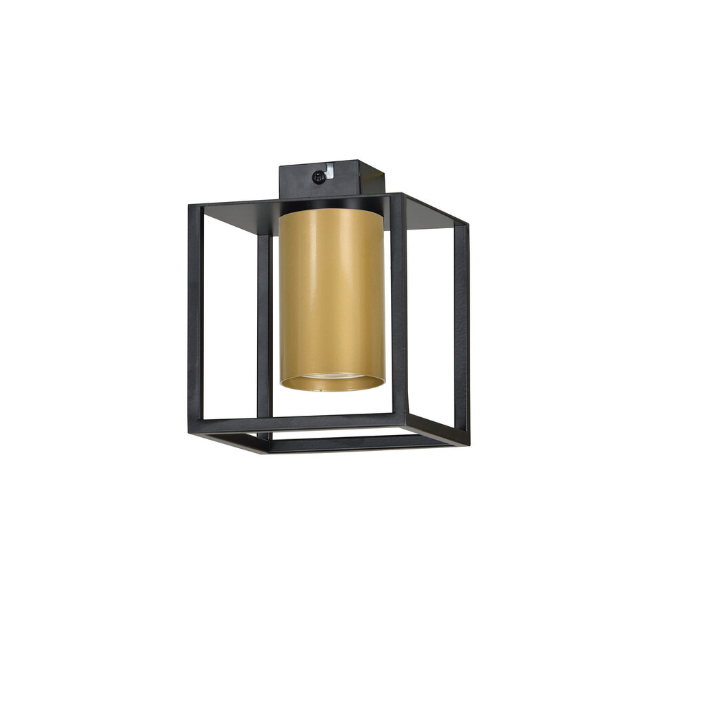 Emibig lampa Tiper 1 цена и информация | Griestu lampas | 220.lv
