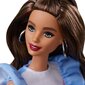 Lelle Barbie Fashionista, FXL54 цена и информация | Rotaļlietas meitenēm | 220.lv