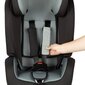 Autokrēsliņš Bebe Confort Ever fix, 9-36 kg, Pixel Grey цена и информация | Autokrēsliņi | 220.lv