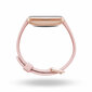 Fitbit Versa 2 Petal/Copper Rose cena un informācija | Viedpulksteņi (smartwatch) | 220.lv