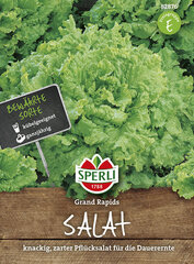 Листовой салат Grand Rapids цена и информация | Семена овощей, ягод | 220.lv