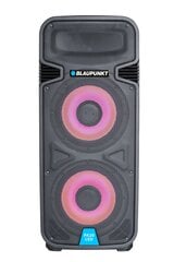 Blaupunkt PA20LED цена и информация | Аудиоколонки | 220.lv