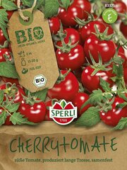 Пищевые помидоры Zuckertraube BIO цена и информация | Семена овощей, ягод | 220.lv