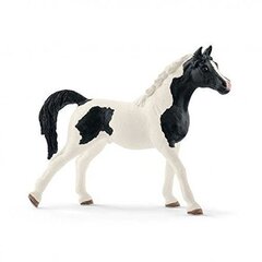 Фигурка Жеребец породы Пинтабская Schleich Horse Club цена и информация | Игрушки для мальчиков | 220.lv