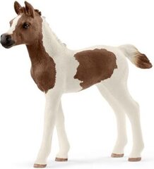 Статуэтка Пинтабианский жеребец Schleich Horse Club цена и информация | Игрушки для мальчиков | 220.lv