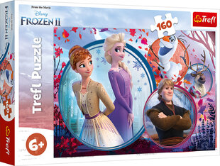 Пазл TREFL Frozen "Ледяная страна 2" 160 д. цена и информация | Пазлы | 220.lv