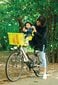 Velosipēda priekšējais sēdeklis Bellelli Tatoo Plus, pelēks цена и информация | Bērnu velosipēdu sēdeklīši | 220.lv