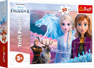 TREFL пазл Ледяная страна 2 ( Frozen 2 ) 30 ч. цена и информация | Пазлы | 220.lv