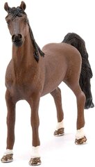 Figūriņa Amerikas rikšotāja zirgs Schleich, Horse Club цена и информация | Игрушки для мальчиков | 220.lv