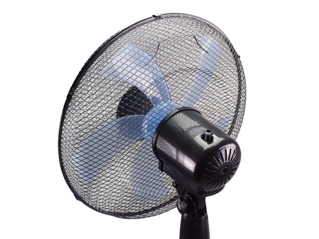 Beper P206VEN130 cena un informācija | Ventilatori | 220.lv