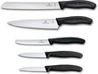 Virtuves komplekts Victorinox, 5 gab., Swiss Classic цена и информация | Virtuves piederumi | 220.lv