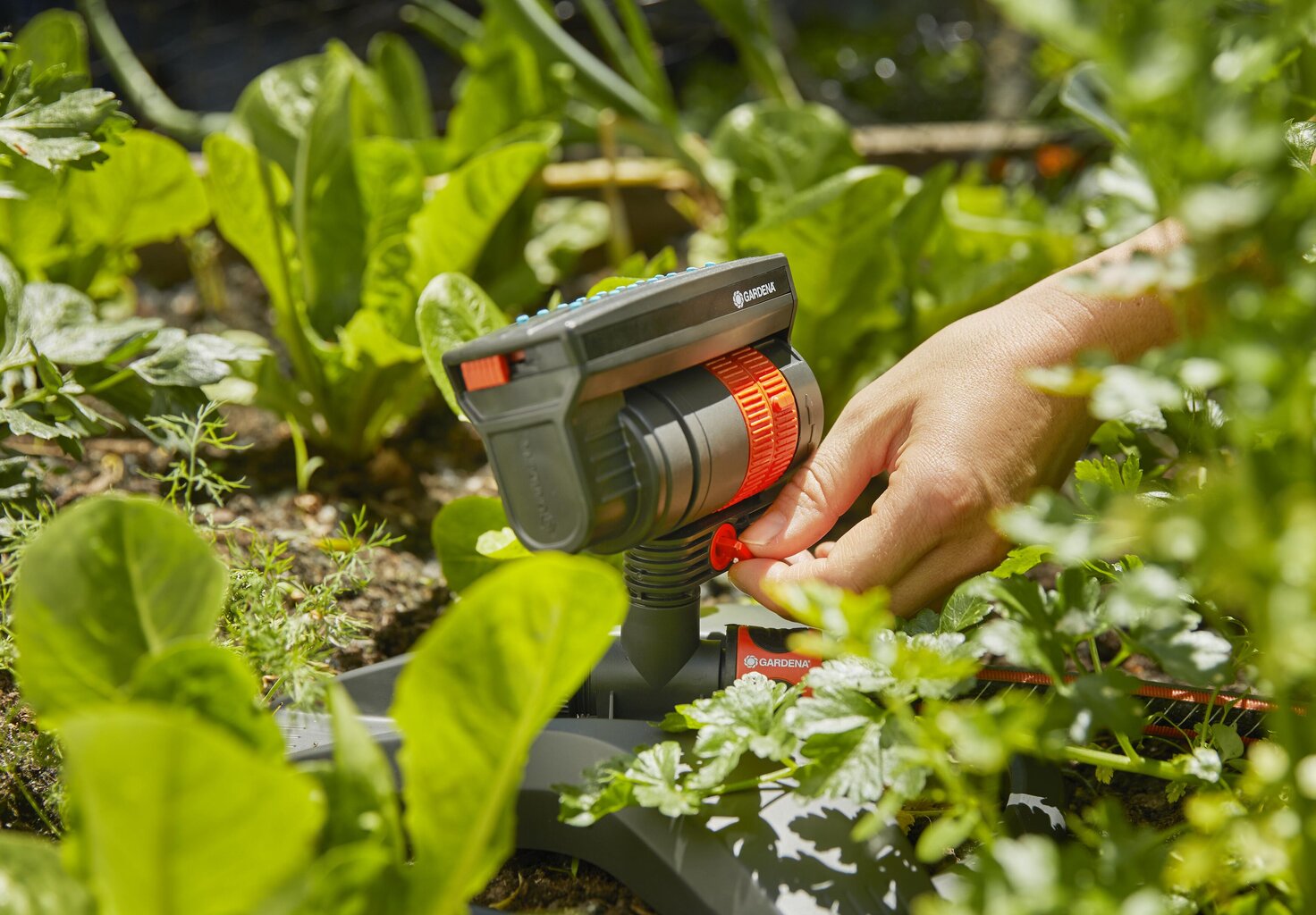 Svārstošs smidzinātājs GARDENA AquaZoom compact цена и информация | Laistīšanas sistēmas | 220.lv