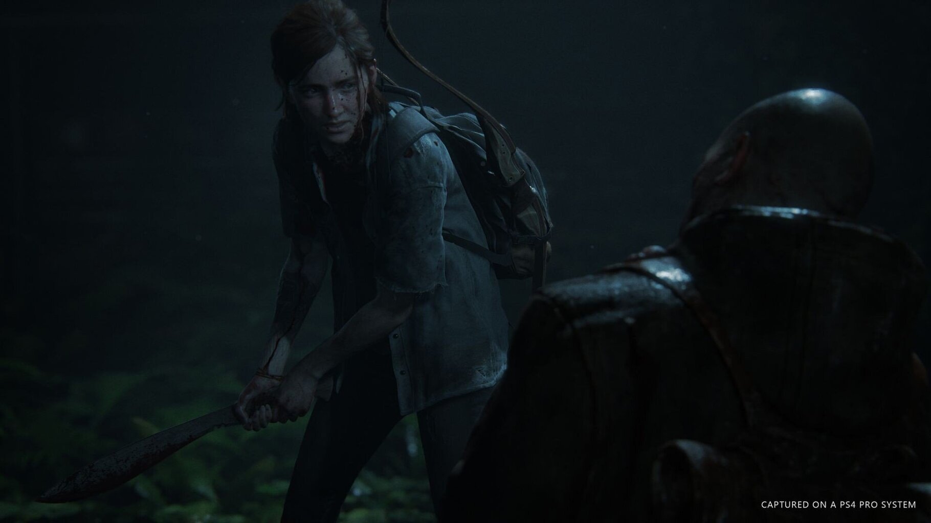 The Last of Us Part II, PS4 cena un informācija | Datorspēles | 220.lv