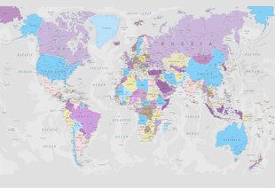 Fototapetes - Pasaules karte. Pelēka. cena un informācija | Fototapetes | 220.lv