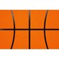 Fototapete - Basketbola raksts B cena un informācija | Fototapetes | 220.lv
