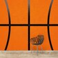 Fototapete - Basketbola raksts B cena un informācija | Fototapetes | 220.lv