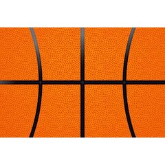 Fototapete - Basketbola raksts B цена и информация | Фотообои | 220.lv