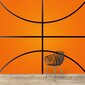 Fototapete - Basketbola siena cena un informācija | Fototapetes | 220.lv