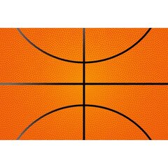 Fototapete - Basketbola siena цена и информация | Фотообои | 220.lv