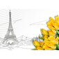 Fototapetes - Dažādi Parīzes skati cena un informācija | Fototapetes | 220.lv