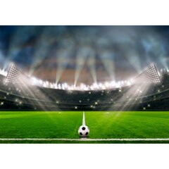 Fototapete - Futbola stadions цена и информация | Фотообои | 220.lv