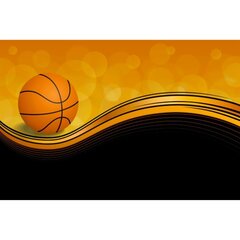 Fototapetes - Basketbola vilnis cena un informācija | Fototapetes | 220.lv