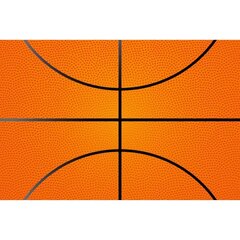 Fototapetes - Basketbola siena цена и информация | Фотообои | 220.lv