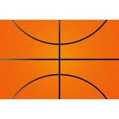 Fototapetes - Basketbola siena цена и информация | Фотообои | 220.lv
