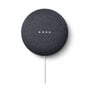 Google Nest Mini gudrais skaļrunis un mājas asistents GA00781-EU цена и информация | Mikrofoni | 220.lv