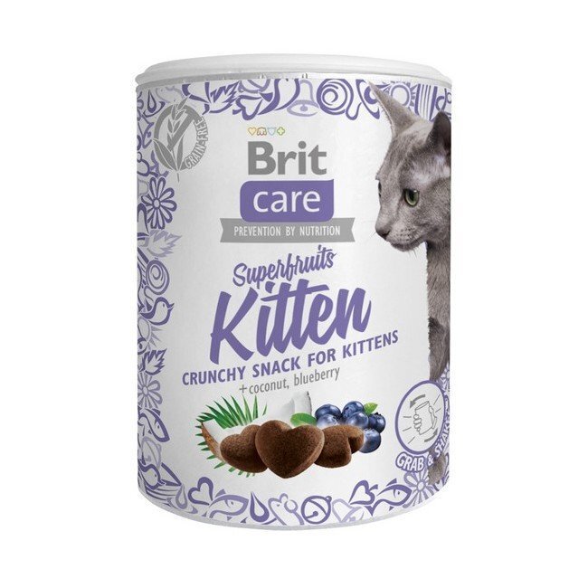 Snack Brit Care Superfriuts 100g Kaķēniem цена и информация | Gardumi kaķiem | 220.lv