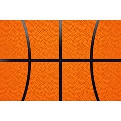 Fototapete - Basketbola raksts B цена и информация | Фотообои | 220.lv