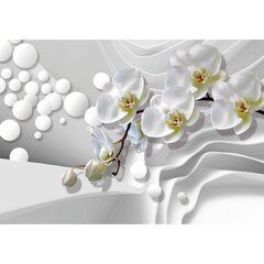 Fototapetes - Orhideju maigums cena un informācija | Fototapetes | 220.lv
