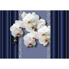 Fototapetes - Orhidejas uz zila fona cena un informācija | Fototapetes | 220.lv