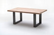Pusdienu galds MC Akcent Castello, 200x100 cm, balts/pelēks cena un informācija | Virtuves galdi, ēdamgaldi | 220.lv