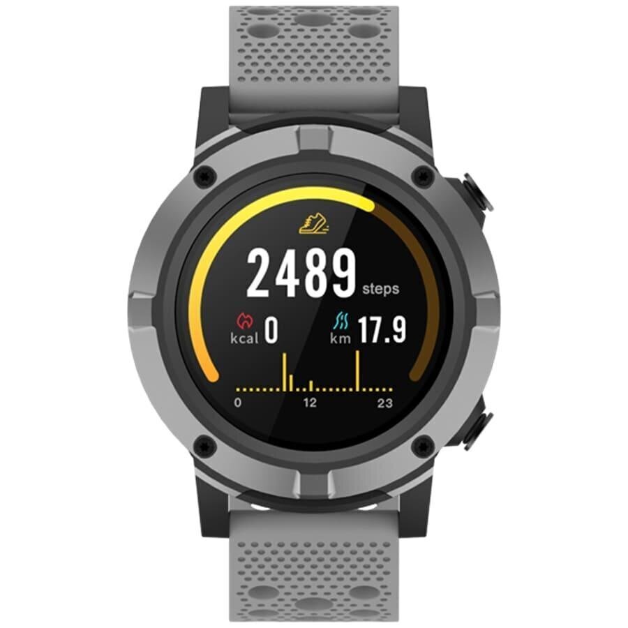 Denver SW-660 Grey cena un informācija | Viedpulksteņi (smartwatch) | 220.lv