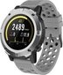 Denver SW-660 Grey cena un informācija | Viedpulksteņi (smartwatch) | 220.lv