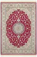 Hanse Home paklājs Nouristan Naveh 195x300 cm цена и информация | Ковры | 220.lv