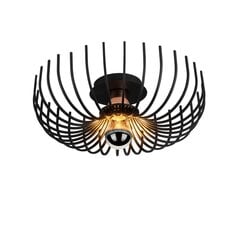 Opviq Noor griestu lampa Aspendos - N-641 цена и информация | Потолочные светильники | 220.lv
