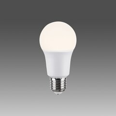 Opviq Led spuldze OP - 008, 10W цена и информация | Лампочки | 220.lv