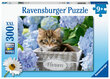 Puzle Ravensburger Kaķēns, 300 d., 12894 cena un informācija | Puzles, 3D puzles | 220.lv