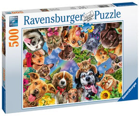 Puzle Ravensburger Dzīvnieku selfiji, 500 d.,15042 цена и информация | Пазлы | 220.lv